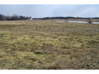 Property photo 6 - 127 Acres Offered in 8 Tracts - Allen & Dekalb County Land